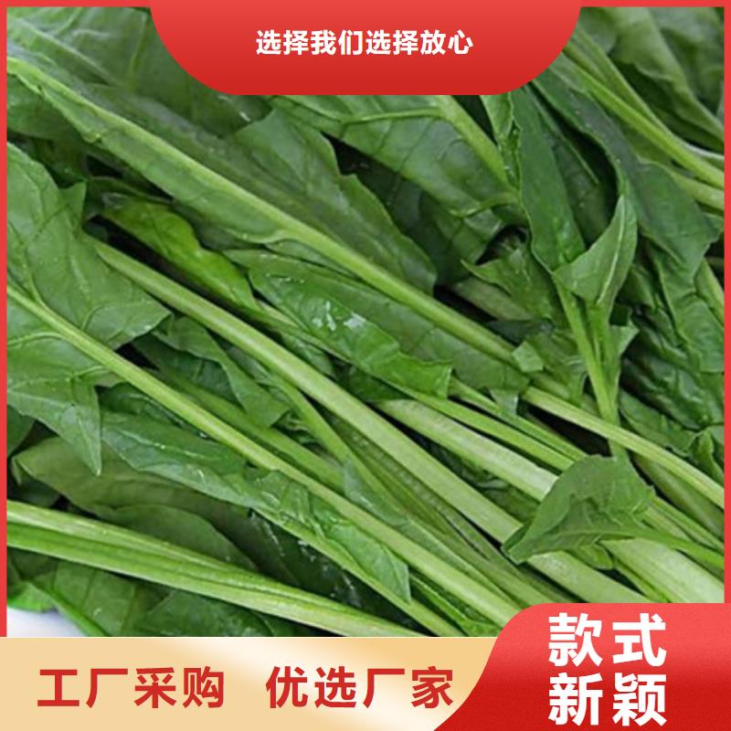 菠菜粉实力雄厚厂家直销安全放心