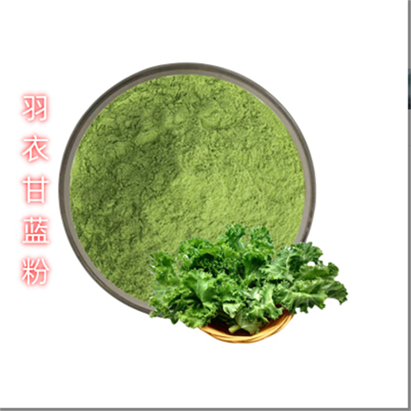 生產羽衣甘藍的實體廠家