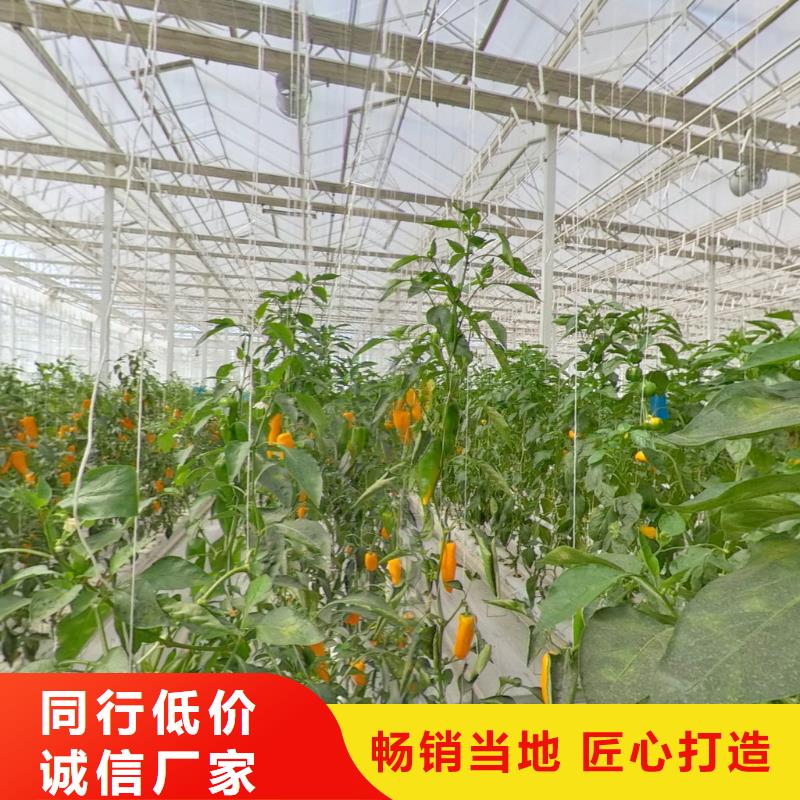 大棚管_镀锌大棚管价格实惠工厂直供源头厂家直销