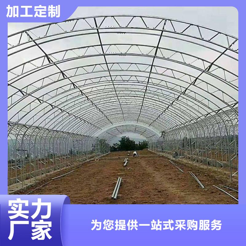 南明区蔬菜连栋大棚管制造厂家品牌企业