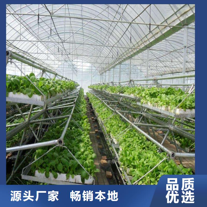 万载联栋大棚价格低每个细节都严格把关