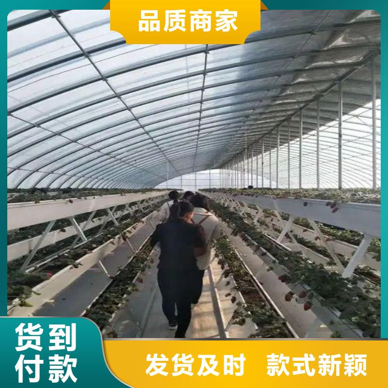 洞头区种植大棚地址优质材料厂家直销