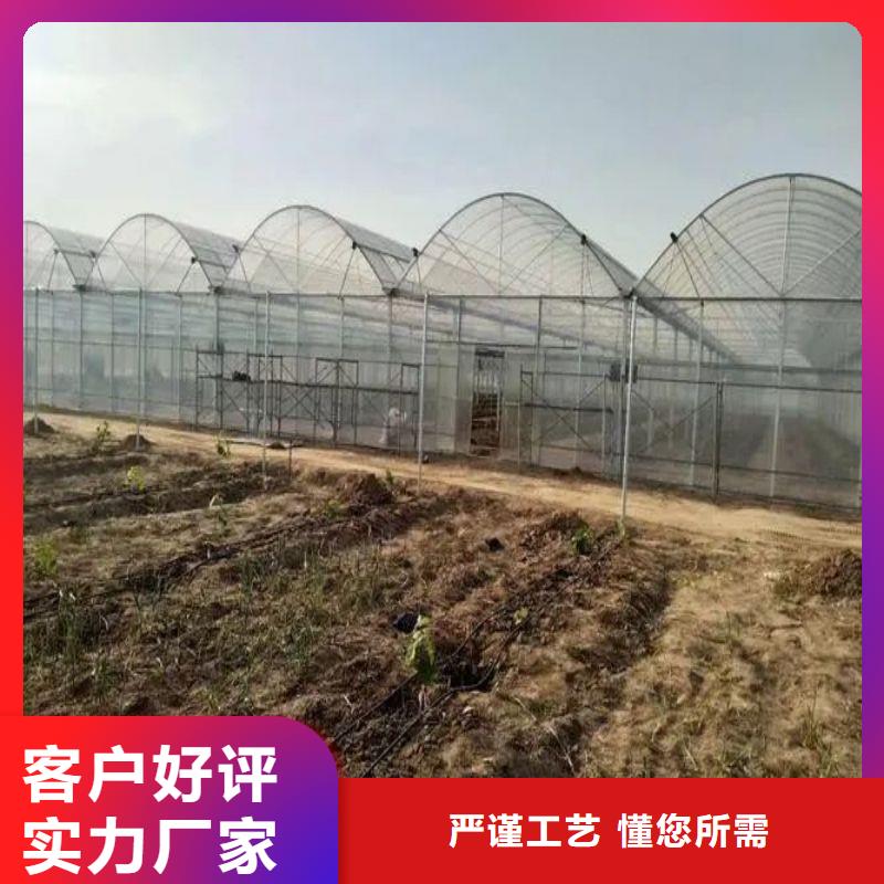 壶关县火龙果定尺大棚管多少钱口碑好实力强