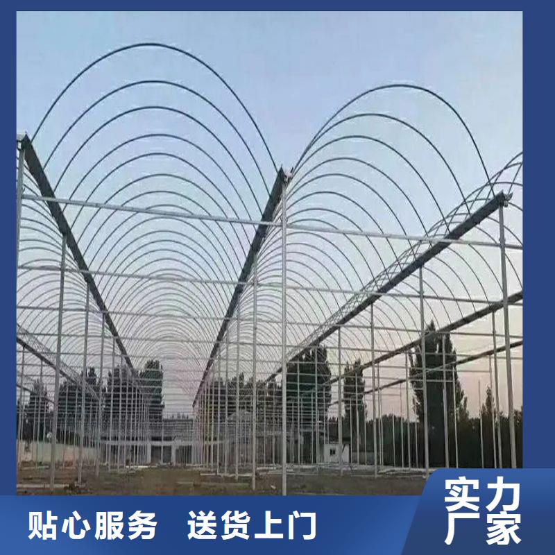 睢县养鹅大棚管配件咋卖一站式厂家