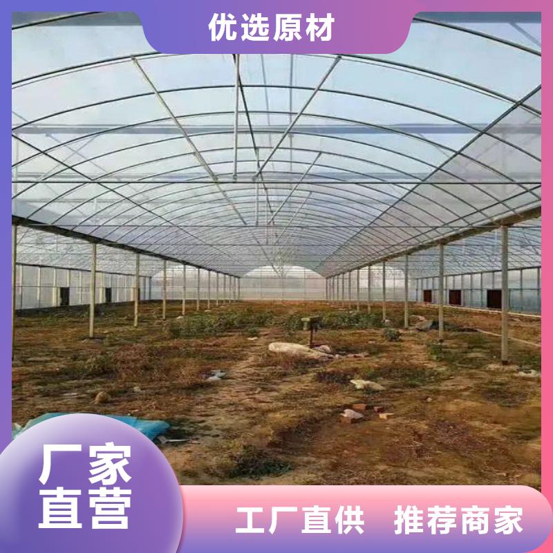 阜平县防虫网怎么卖本地制造商