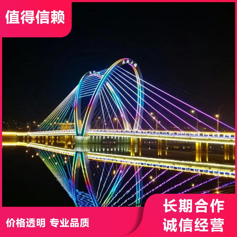 政亮化画册设计制作信誉良好先进的技术