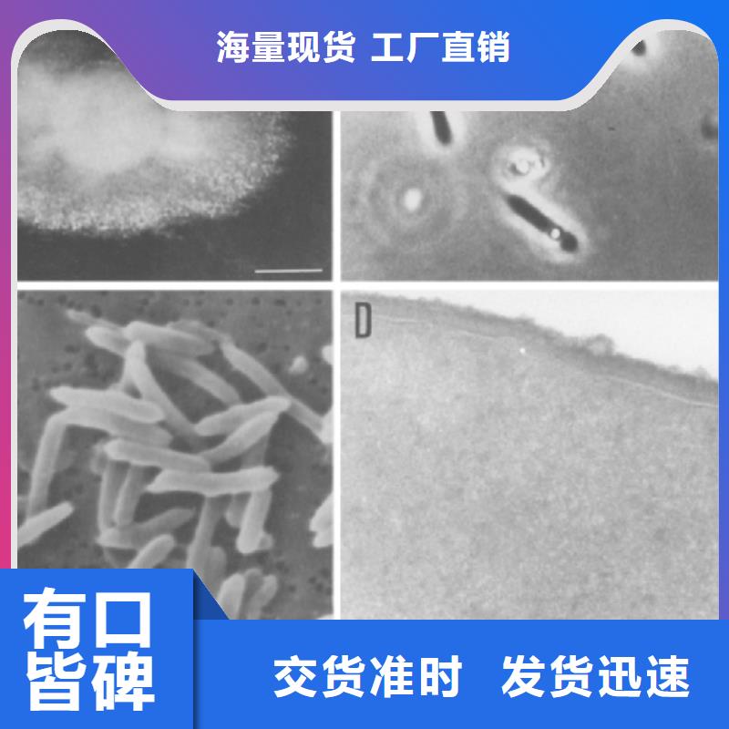 碳源在污水处理中的作用是什么生产厂家为您精心挑选