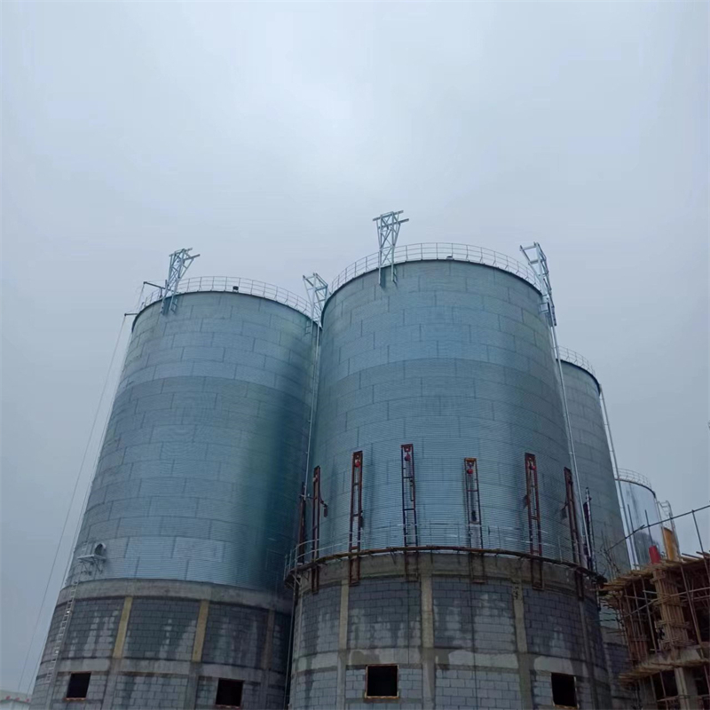 2025實體廠家#糧食裝配式糧倉鋼板倉#來電優惠