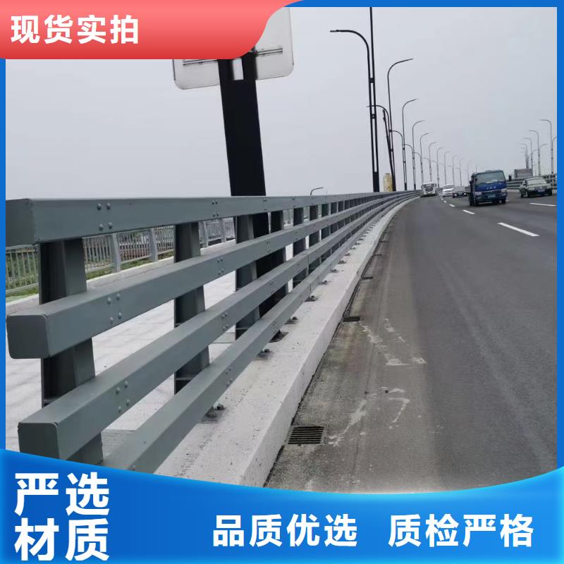 #道路不锈钢护栏#量大从优本地供应商