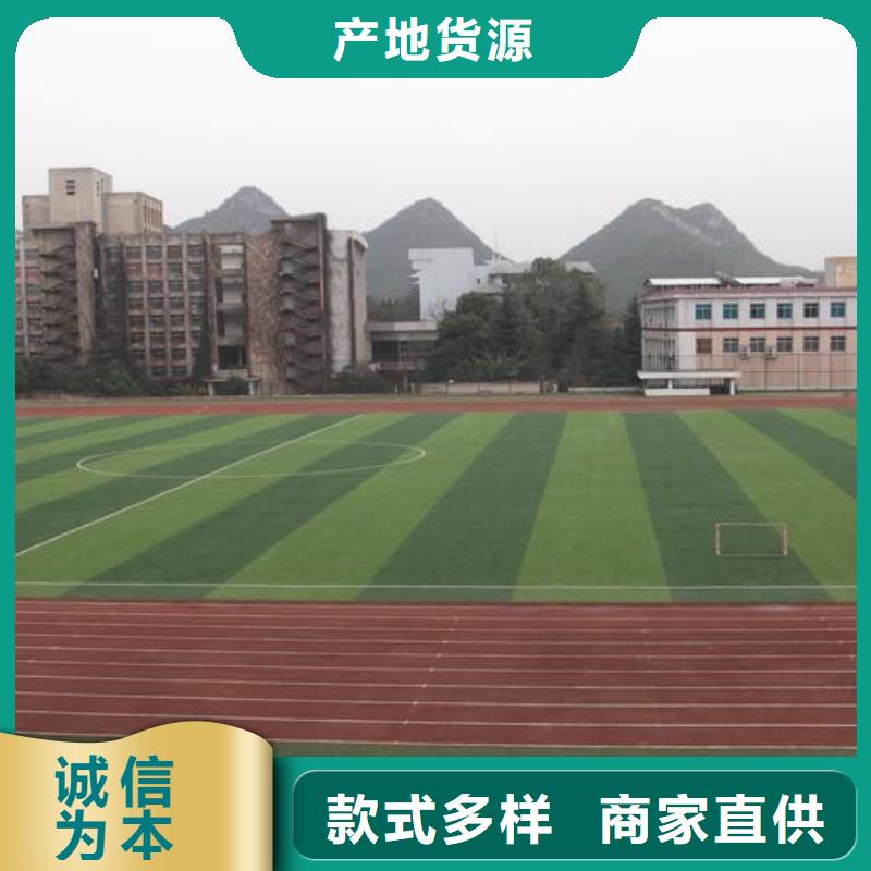 学校塑胶跑道PVC地板球场厂家铸造金品当地货源