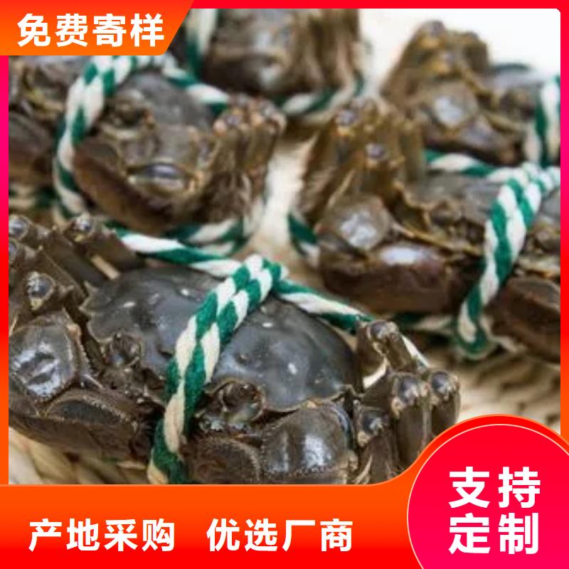 阳澄湖大闸蟹特点严选用料