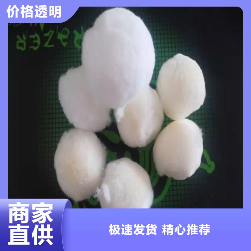 纤维球填料来厂考察货号2-101同城品牌