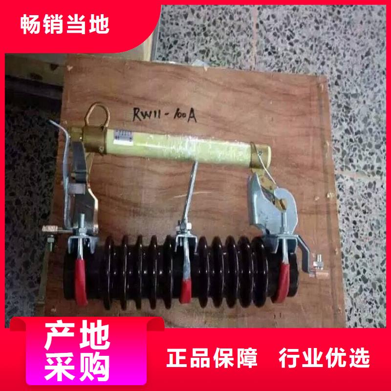 价格推荐：高压熔断器/HRW4-10/100A优选厂商