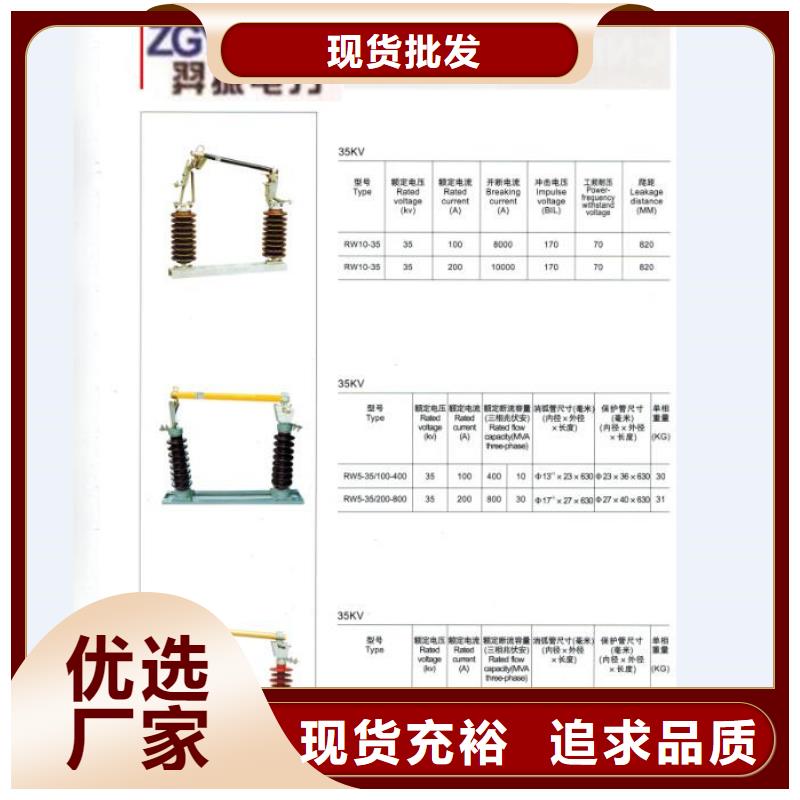 高压熔断器/RW12-12F/100A实拍展现