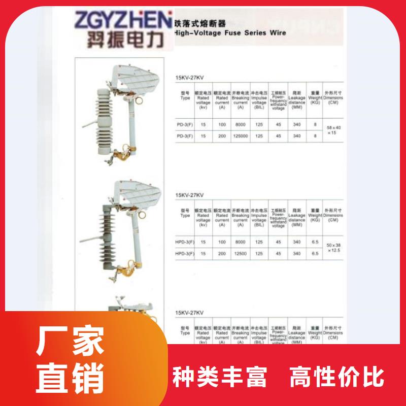 厂家推荐：高压熔断器/RW3-66GY/200A从厂家买售后有保障