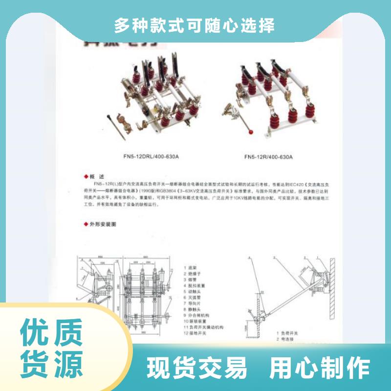 高压熔断器/HRW11-12/100A附近厂家