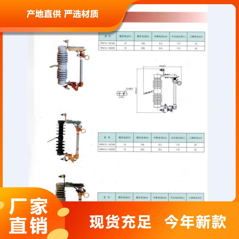 高压熔断器/RW4-10/100【浙江羿振电气有限公司】好产品有口碑