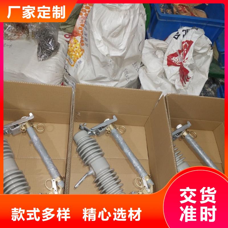 高压熔断器/RW11-10KV/100A做工细致