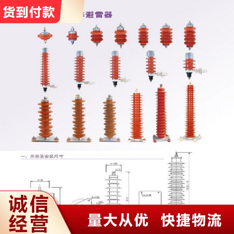 避雷器YH10WZ2-96/250S【羿振电气】同城品牌