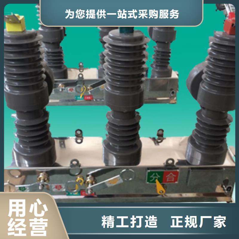 ZW39户外柱上真空断路器/户外高压真空断路器/ZW32-12/630-20