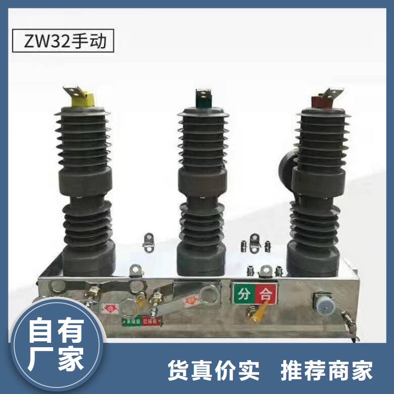 品牌：【羿振电气】柱上断路器.AC10kV.630A.25kA.真空.有隔离闸刀.户外/供应商优选厂家