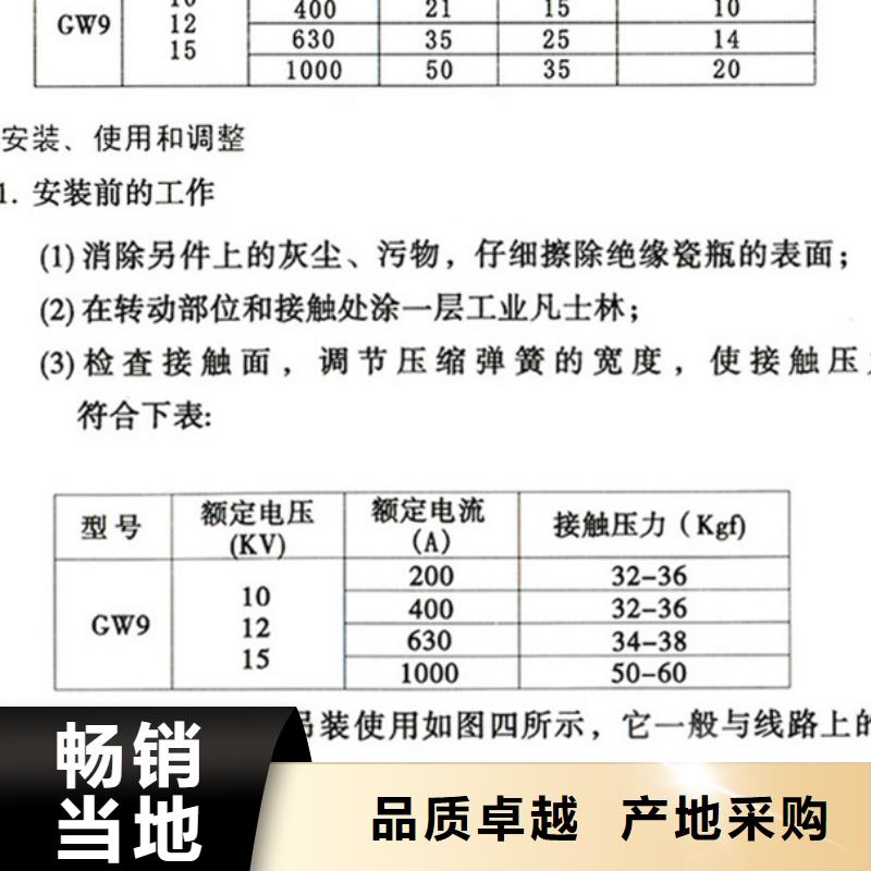 【户外隔离刀闸】GW9-12W/630本地供应商