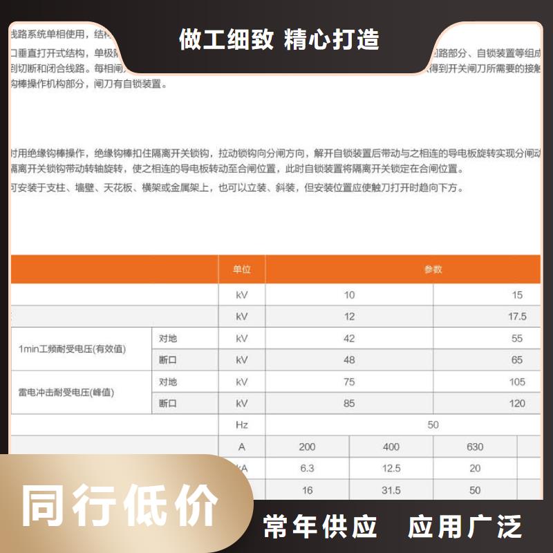 【单极隔离开关】GW9-10-200A本地公司