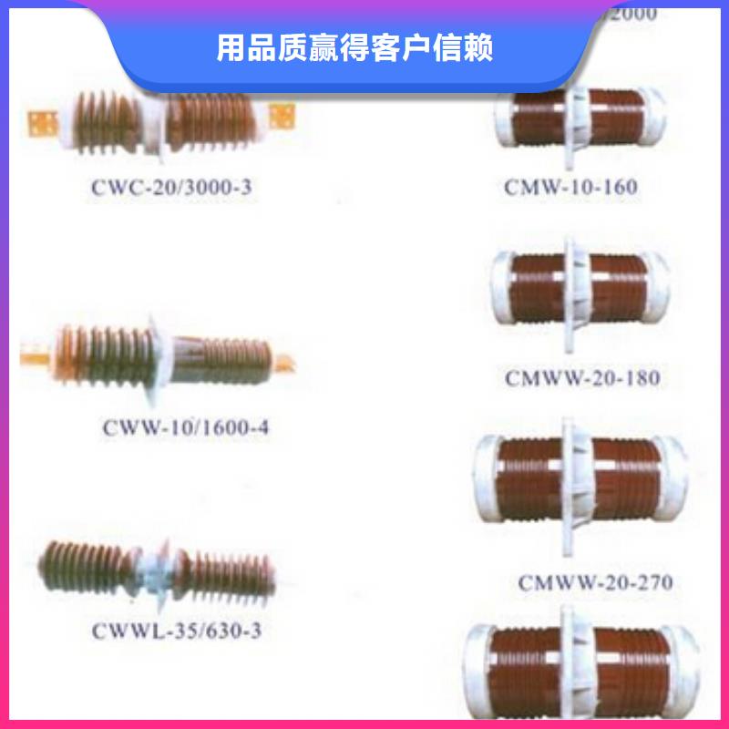 绝缘子ZSW2-20/3000严谨工艺