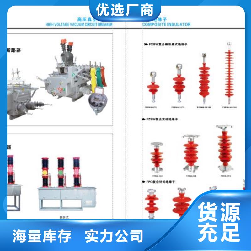 支柱绝缘子_ZS2-35/600【浙江羿振电气有限公司】价格合理