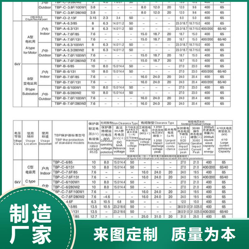 【组合式避雷器/过电压保护器】TBP-C-12.7F/100W1免费询价