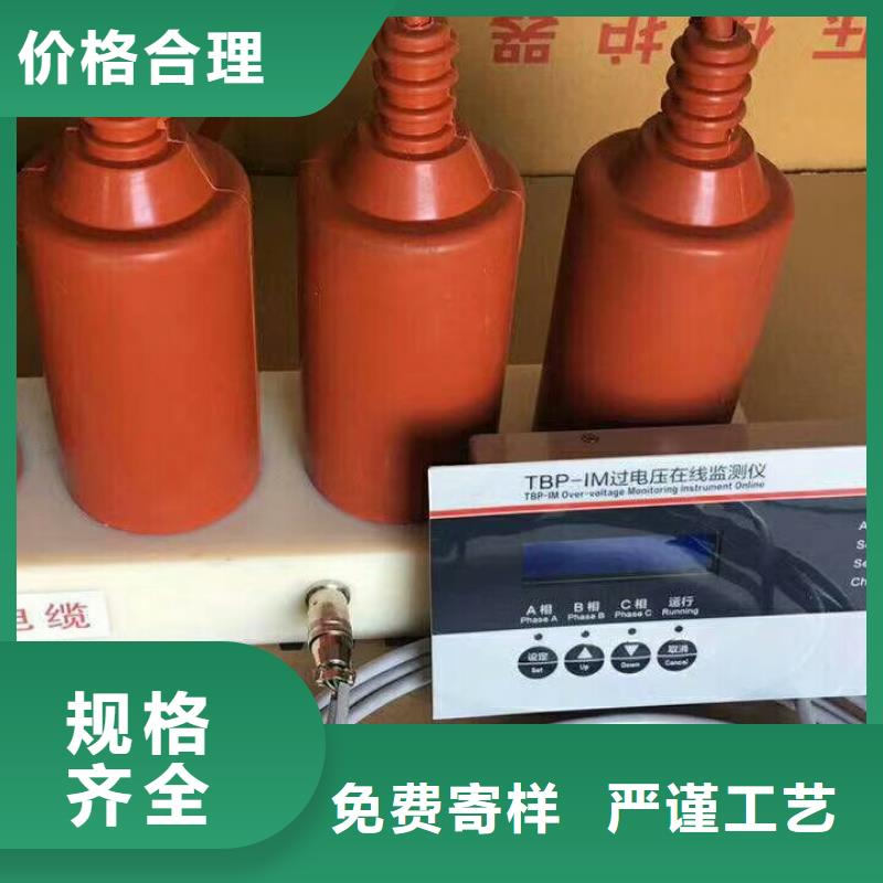 【组合式避雷器/过电压保护器】TBP-C-7.6F/85品种全