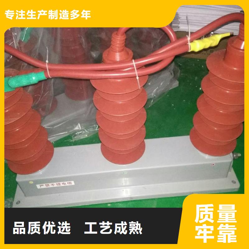 【组合式避雷器/过电压保护器】TBP-C-35/310严格把关质量放心