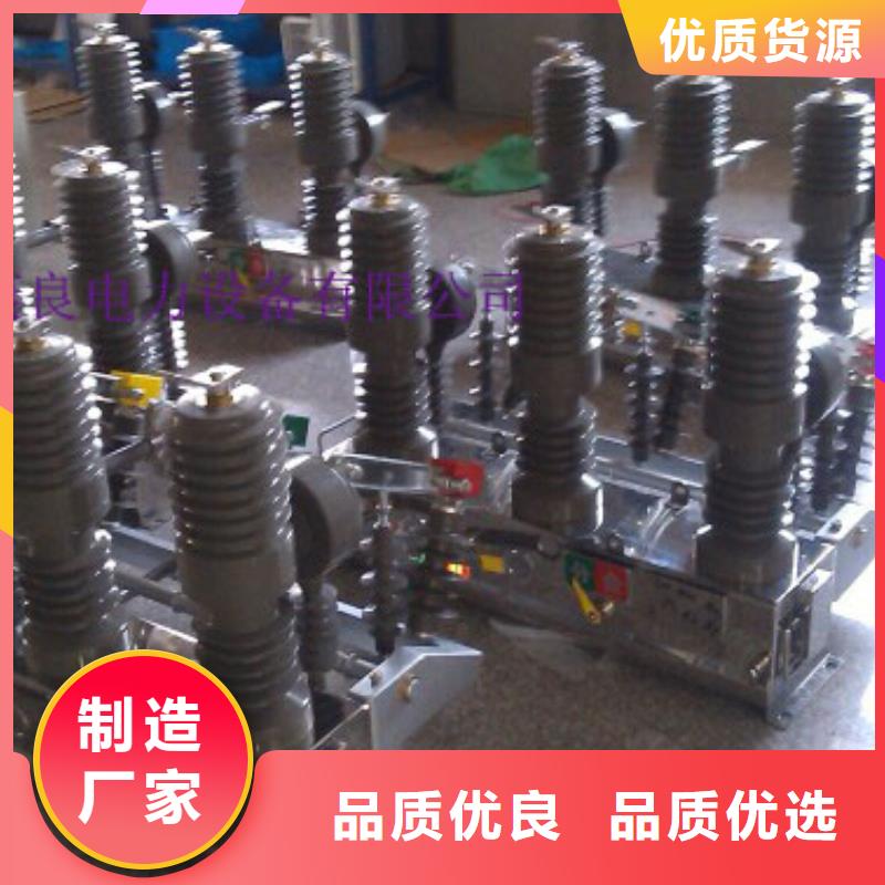 【羿振电力设备】ZW32-10KV/630A-20KA按需设计