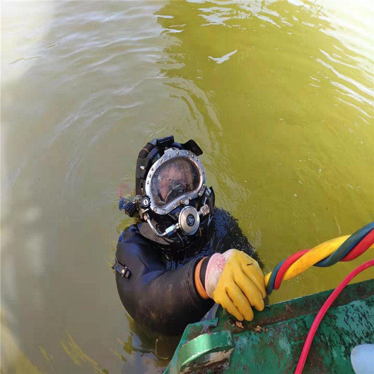 龙游县水下打捞救援电话号码/救援服务