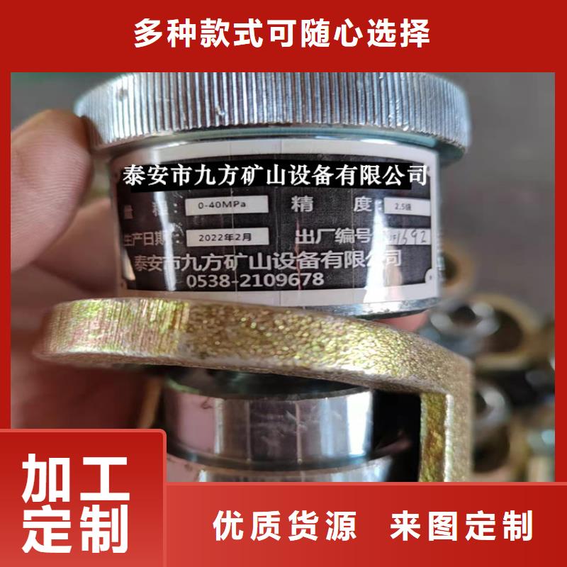 DZ-60单体支柱测压仪厂家供应产品细节