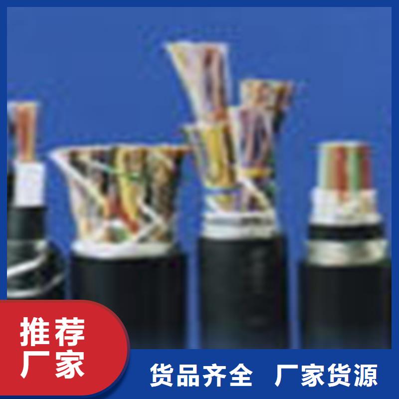 ZRA-HSGWPP22铠装网线2X5L规格齐全优质材料厂家直销
