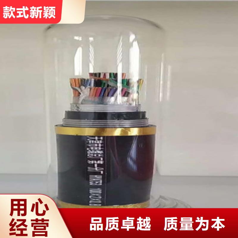 双绞线缆BN-IJJYVLURP32厂家品质不将就