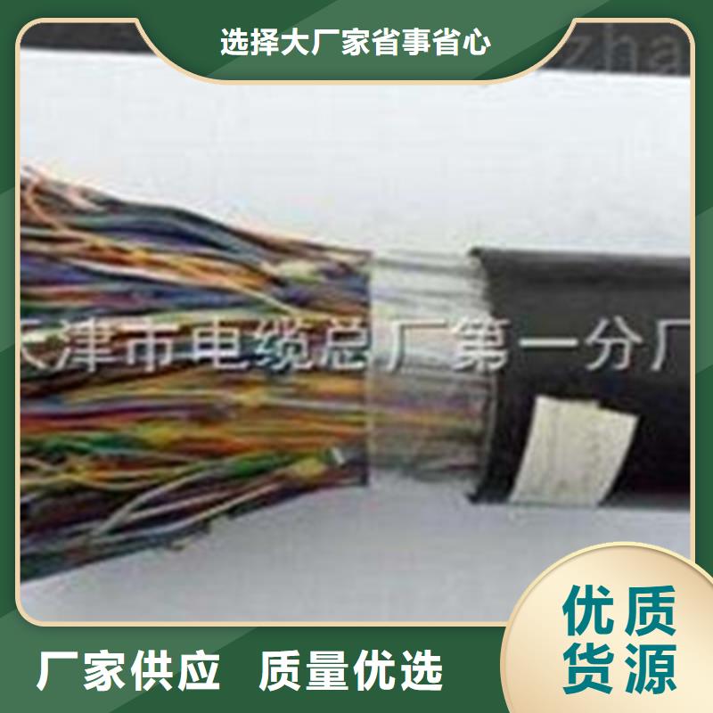 HAPVPSX双绞通讯电缆本地供应商
