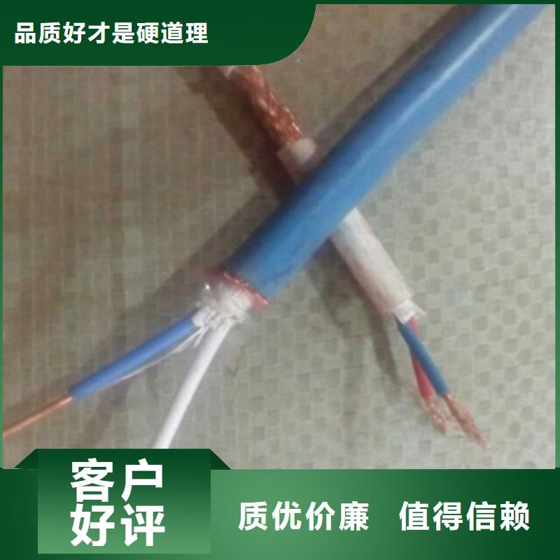​铠装计算机电缆DJYJP3V2210X2X0.75本地生产商