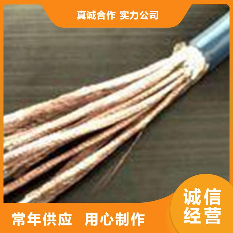 泰安周邊WDZ-DJYJPVP22低煙無鹵計算機電纜供應商