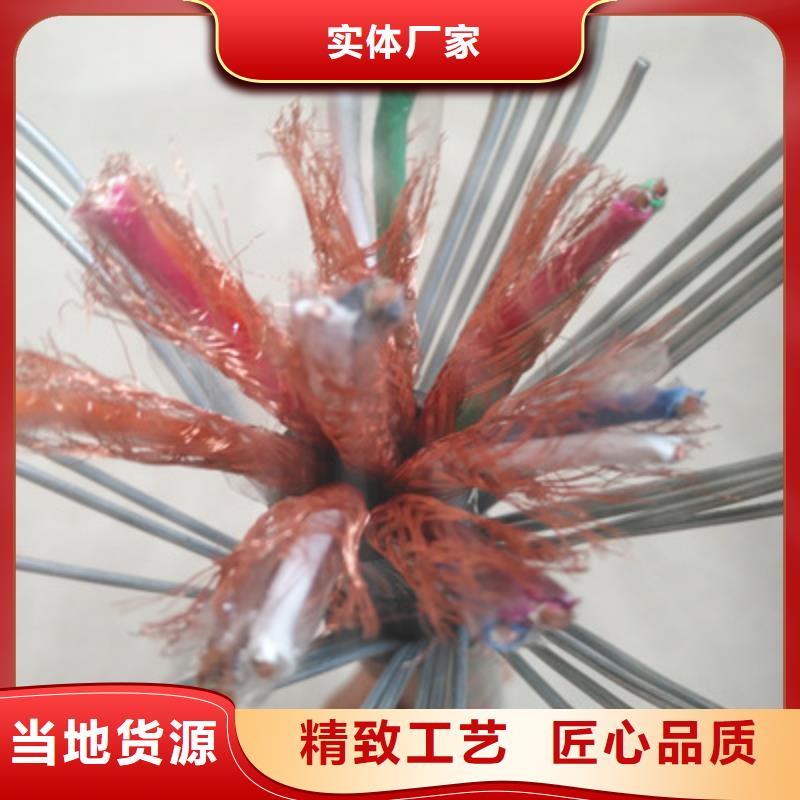 耐火計算機電纜NH-DJYVP精選廠家本地供應商