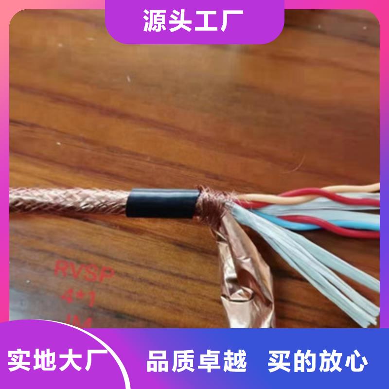 益阳铠装计算机电缆DJVP2VP2-2224X2X1.5