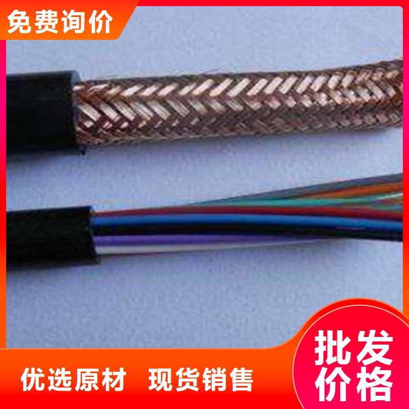 来宾ZR-RYSPVP 阻燃计算机电缆-点击咨询