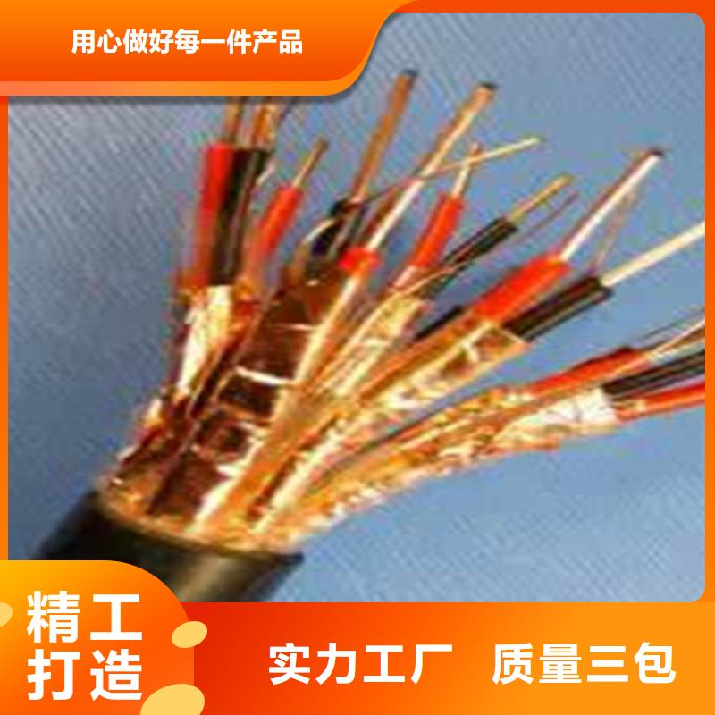 RYSPVP铠装计算机电缆使用无忧把实惠留给您