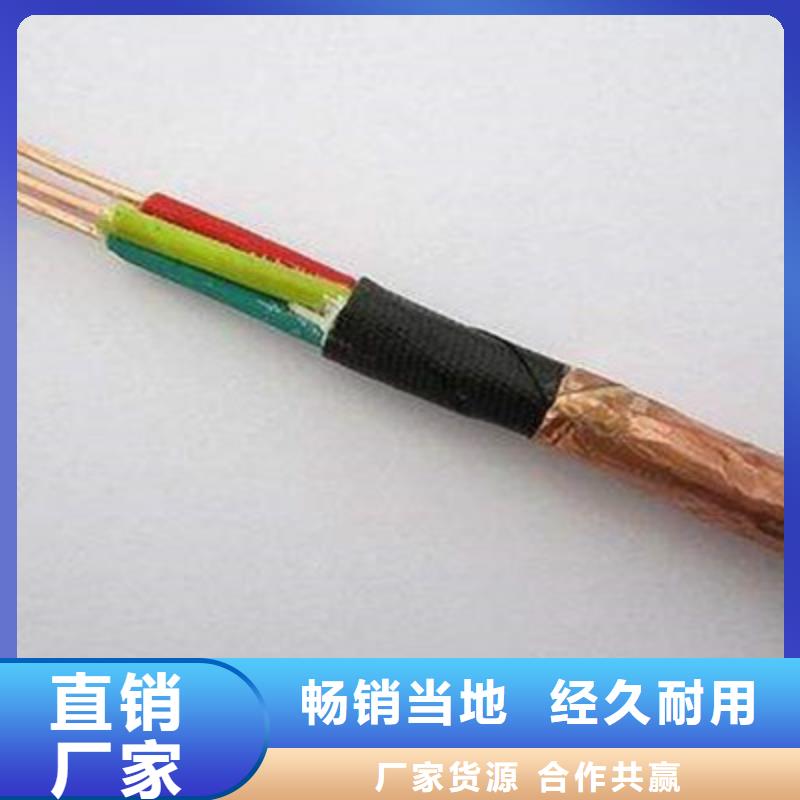 耐火計算機(jī)電纜NH-DJYJVP22多重優(yōu)惠多種款式可隨心選擇