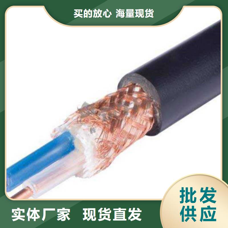 益阳铠装计算机电缆DJVP2VP2-2224X2X1.5