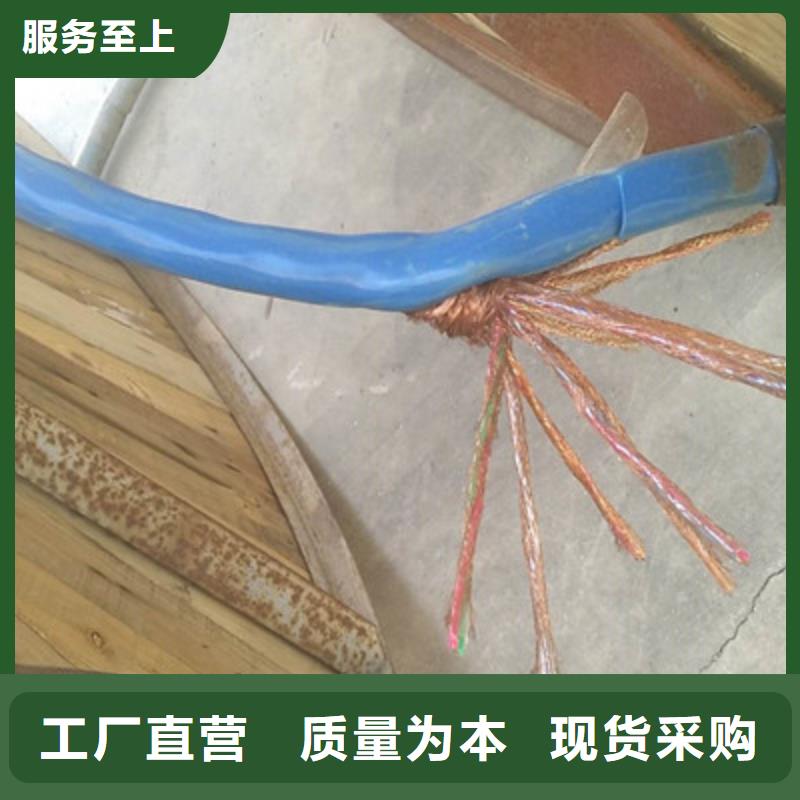耐火计算机电缆NH-DJVP3V质量与价格同在满足多种行业需求