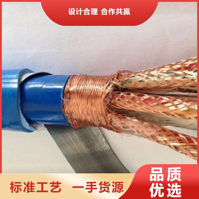 鞍山DJFPFR 耐高溫計算機電纜質保一年