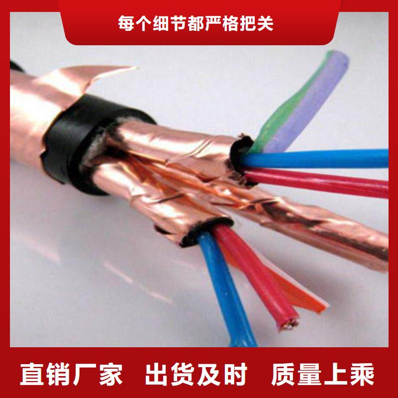 计算机耐高温电缆DJFP2VP214X2X0.75当地供应商