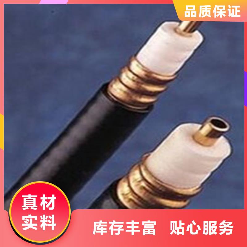 WDZ-SYV低烟无卤射频线缆价格公道厂家直销售后完善